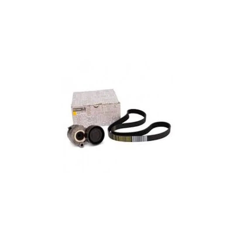 Megane Alternatör Kayış Bilya Seti 2004-2006 Orjinal 