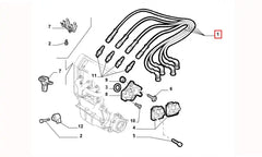 Palio Buji Kablosu Şema