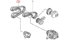 Kangoo Alternatör Kayışı Şema
