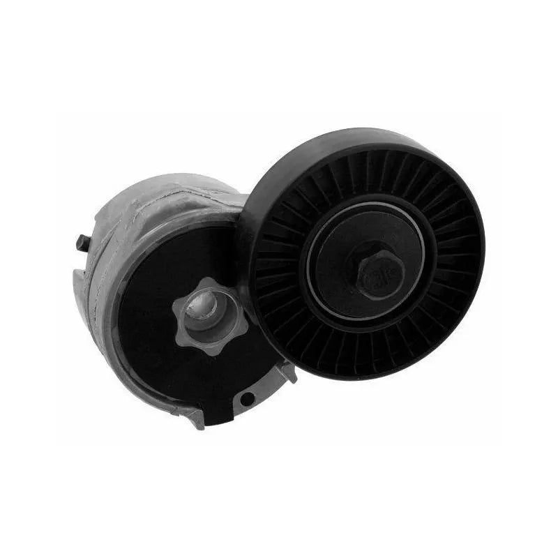 Kangoo Alternatör Kayışı Gergi Bilyası 1998-2002 Orjinal 