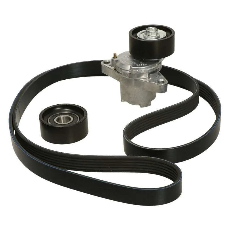 Laguna Alternatör Kayış Bilya Seti 1996-1999 Orjinal 