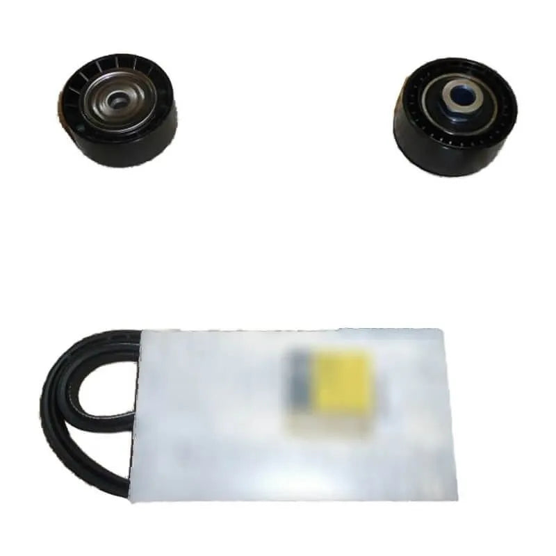 Twingo Alternatör Kayış Bilya Seti 1997-2001 Orjinal 