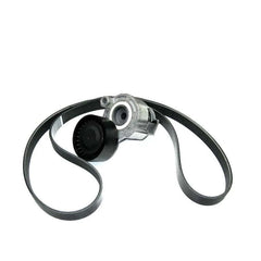 Kangoo Alternatör Kayış Bilya Seti 2003-2015 Orjinal 