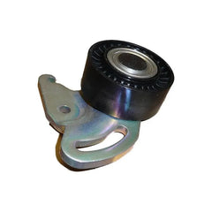 Kangoo Alternatör Kayışı Gergi Bilyası 2003-2015 Orjinal 