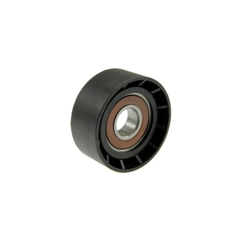 Kangoo Alternatör Kayışı Gergi Bilyası 1998-2002 