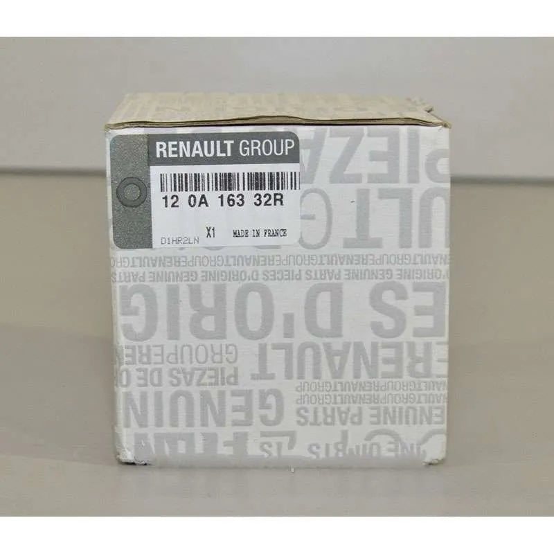 Megane Silindir Onarım Seti (Piston, Segman)