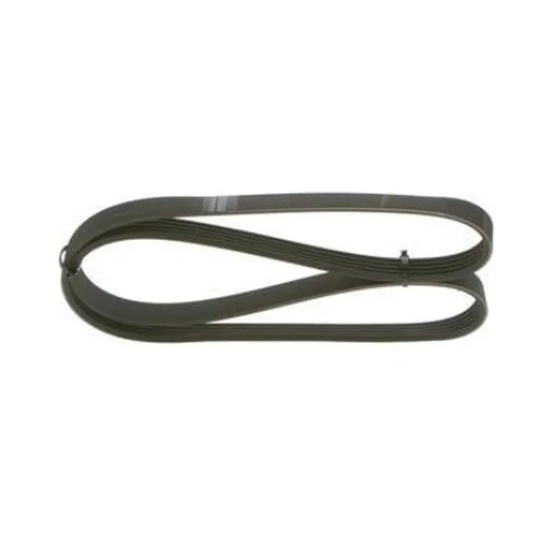 Laguna Alternatör Kayışı