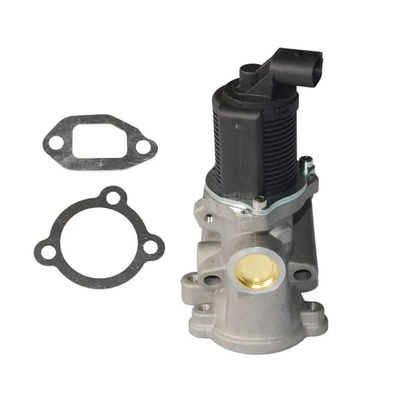 Scudo Egr Valfi