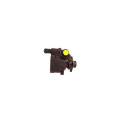 Kangoo Direksiyon Pompası 1998-2009 Hattat 7700823735