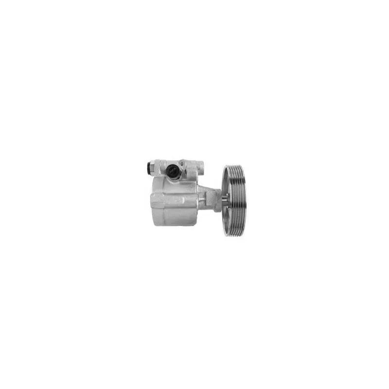 Kangoo Direksiyon Pompası 1998-2002 Hattat 491100522R