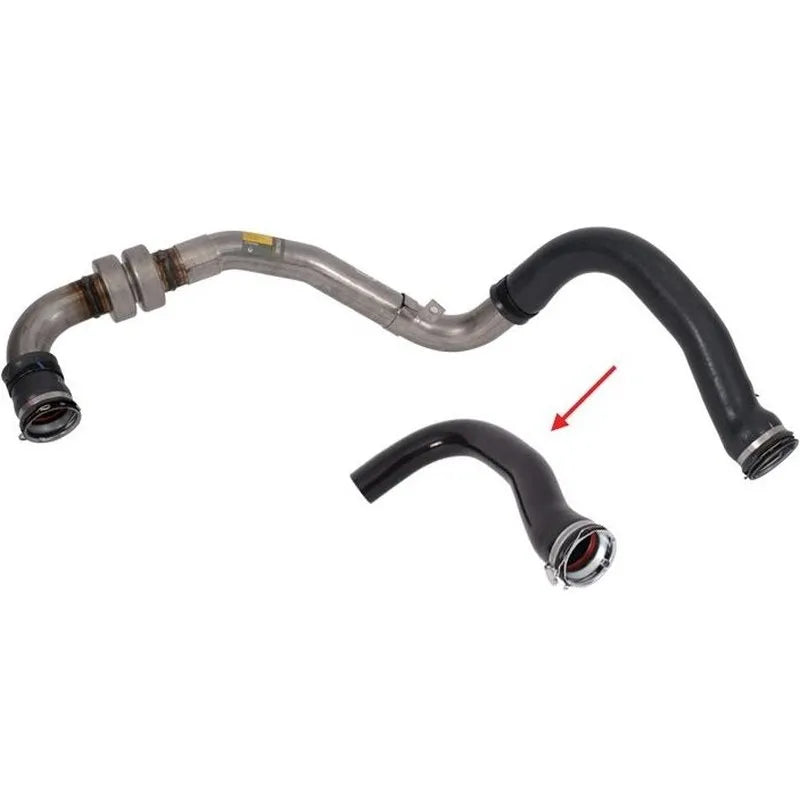 Laguna Turbo Hortumu 2008-2012 İbraş 8200493735