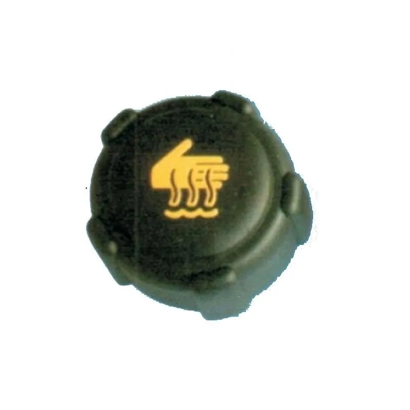 Duster Radyatör Su Deposu Kapağı 2011-2017 Kaya 6001546641