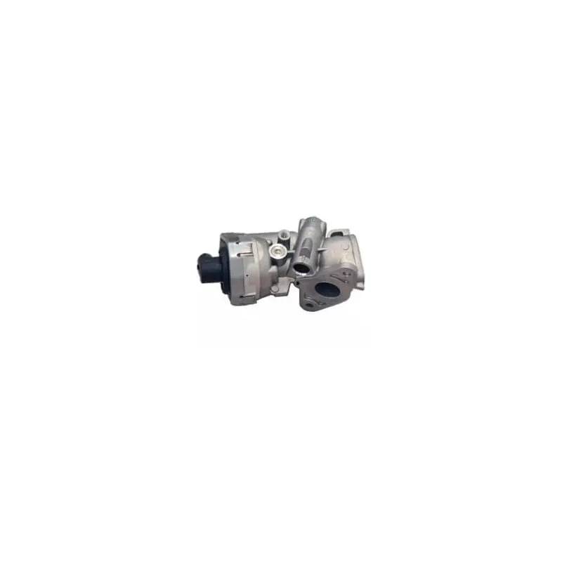 Ducato Egr Valfi 2001-2022 Magneti Marelli 359000604320