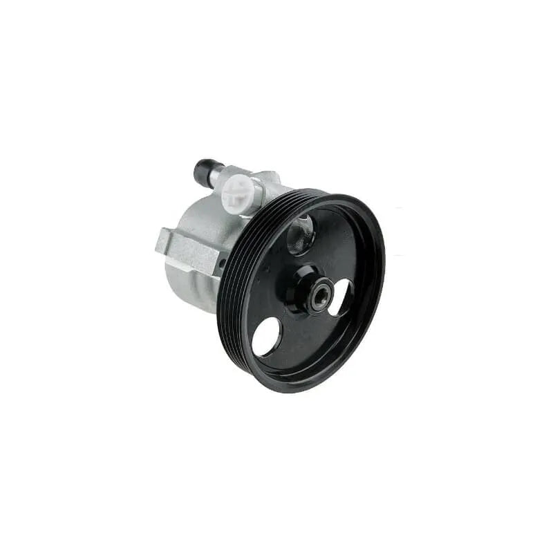 Clio Direksiyon Pompası 1999-2008 Magneti Marelli 491100699R