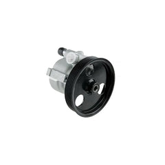Clio Direksiyon Pompası 1999-2008 Magneti Marelli 491100699R