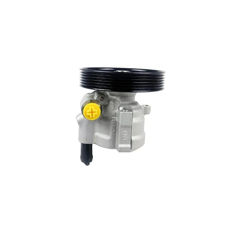 Clio Direksiyon Pompası 2003-2008 Magneti Marelli 491101206R