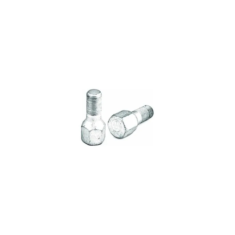 Master Bijon Cıvatası 1998-2010 Mtj 7700306993