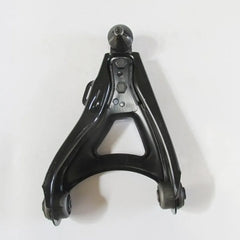 Megane Salıncak 1995-2003 Meydan 7700425724