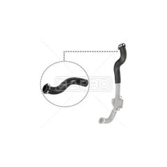 Kangoo Turbo Hortumu 2003-2015 Rapro 8200534296