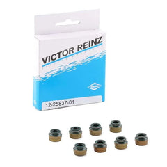 Şahin Subap Lastiği 1979-2001 Victor Reinz 60513469
