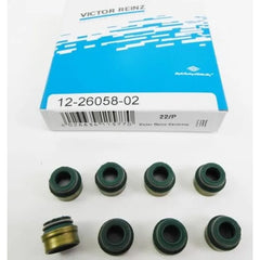 Linea Subap Lastiği 2007-2015 Victor Reinz 7700103872