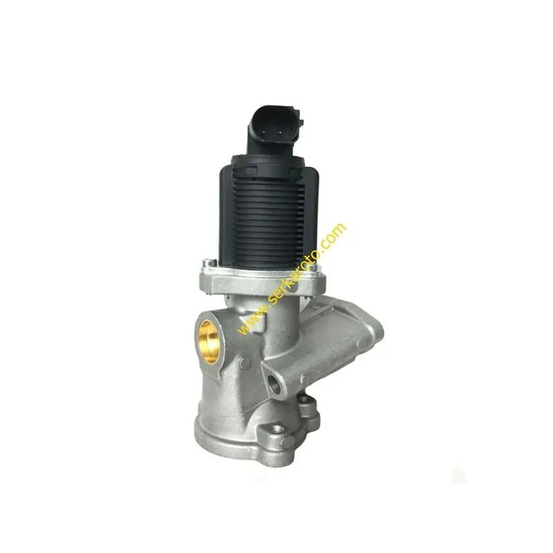 Palio Egr Valfi 2002-2015 Srk 359000604420