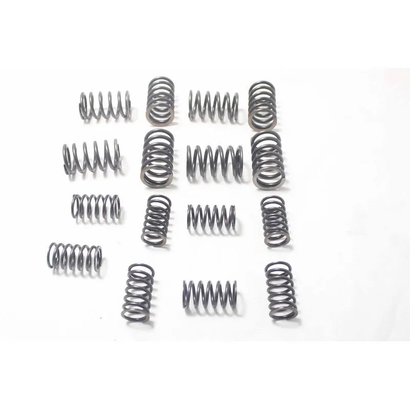 Şahin Motor Subap Yayı 1979-2001 Srk 98000057