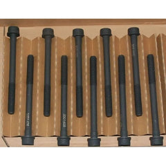 Duster Motor Silindir Kapağı Cıvatası 2011-2022 