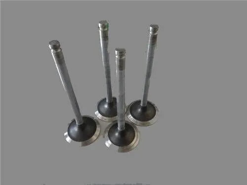 Ducato Egzoz Ve Emme Subap Takımı 1995-2000 