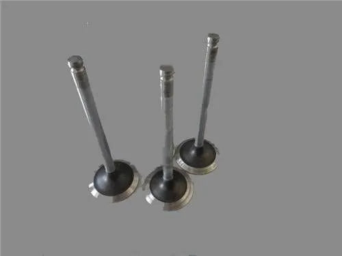 Master Egzoz Ve Emme Subap Takımı 1998-2003 