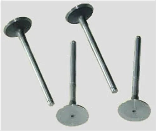 Renault 19 Egzoz Ve Emme Subap Takımı 1991-2001 