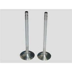 Laguna Egzoz Ve Emme Subap Takımı 1996-1999 