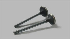 Laguna Egzoz Ve Emme Subap Takımı 2008-2012 